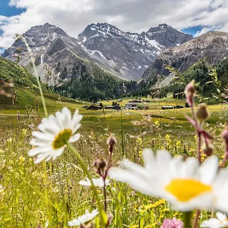 Steigenberger Icon Grandhotel Belvedere ホテル 5*